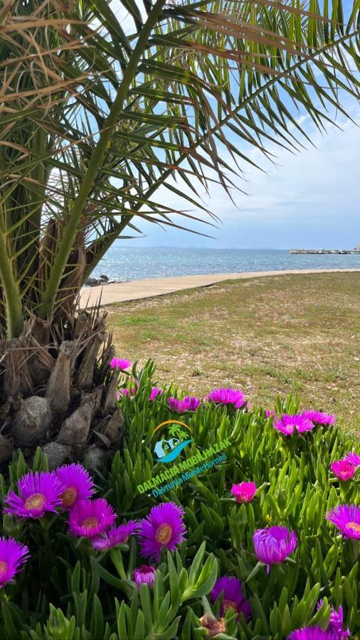 Lakokocsik A Tengerparton - Caravans At The Sandy Beach ปริฟลากา ภายนอก รูปภาพ